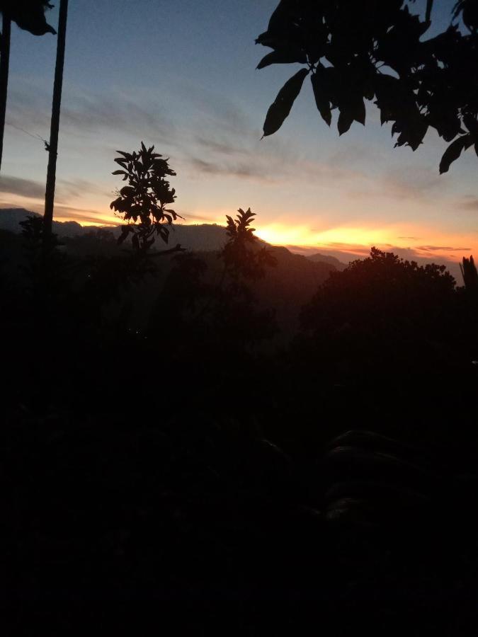 Charming View Homestay Ella Extérieur photo