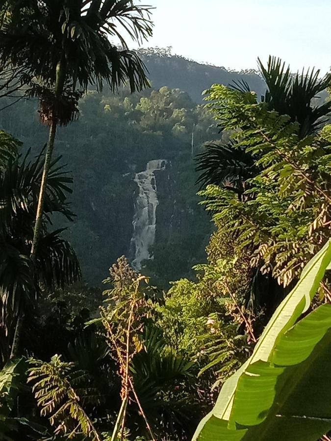 Charming View Homestay Ella Extérieur photo