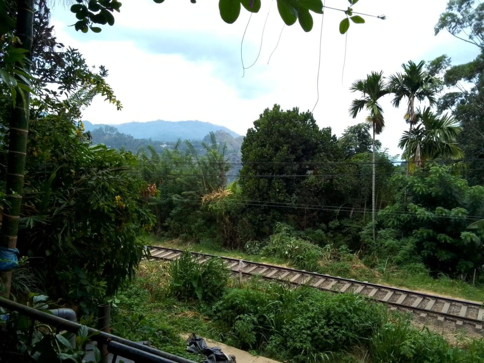 Charming View Homestay Ella Extérieur photo