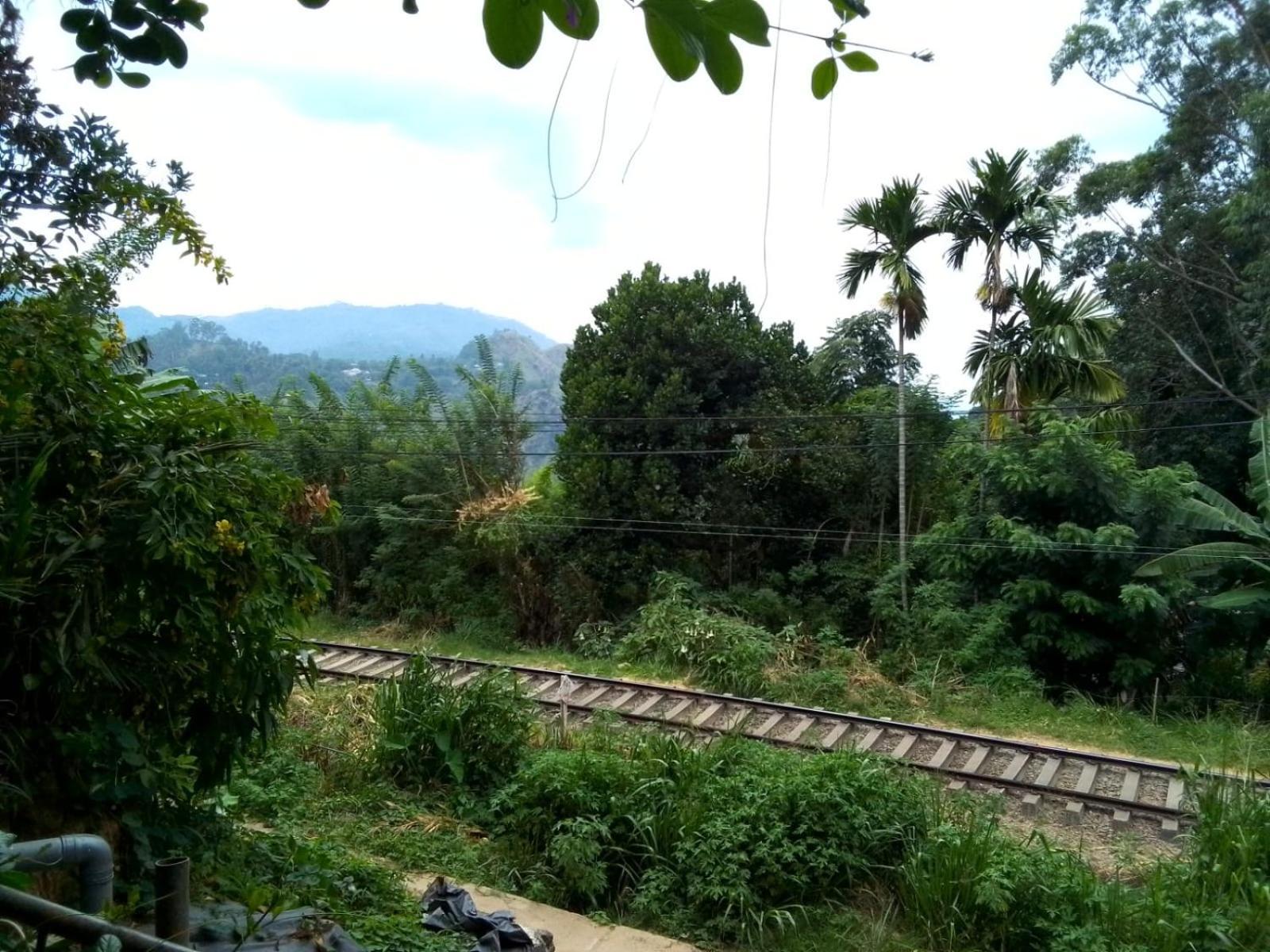 Charming View Homestay Ella Extérieur photo