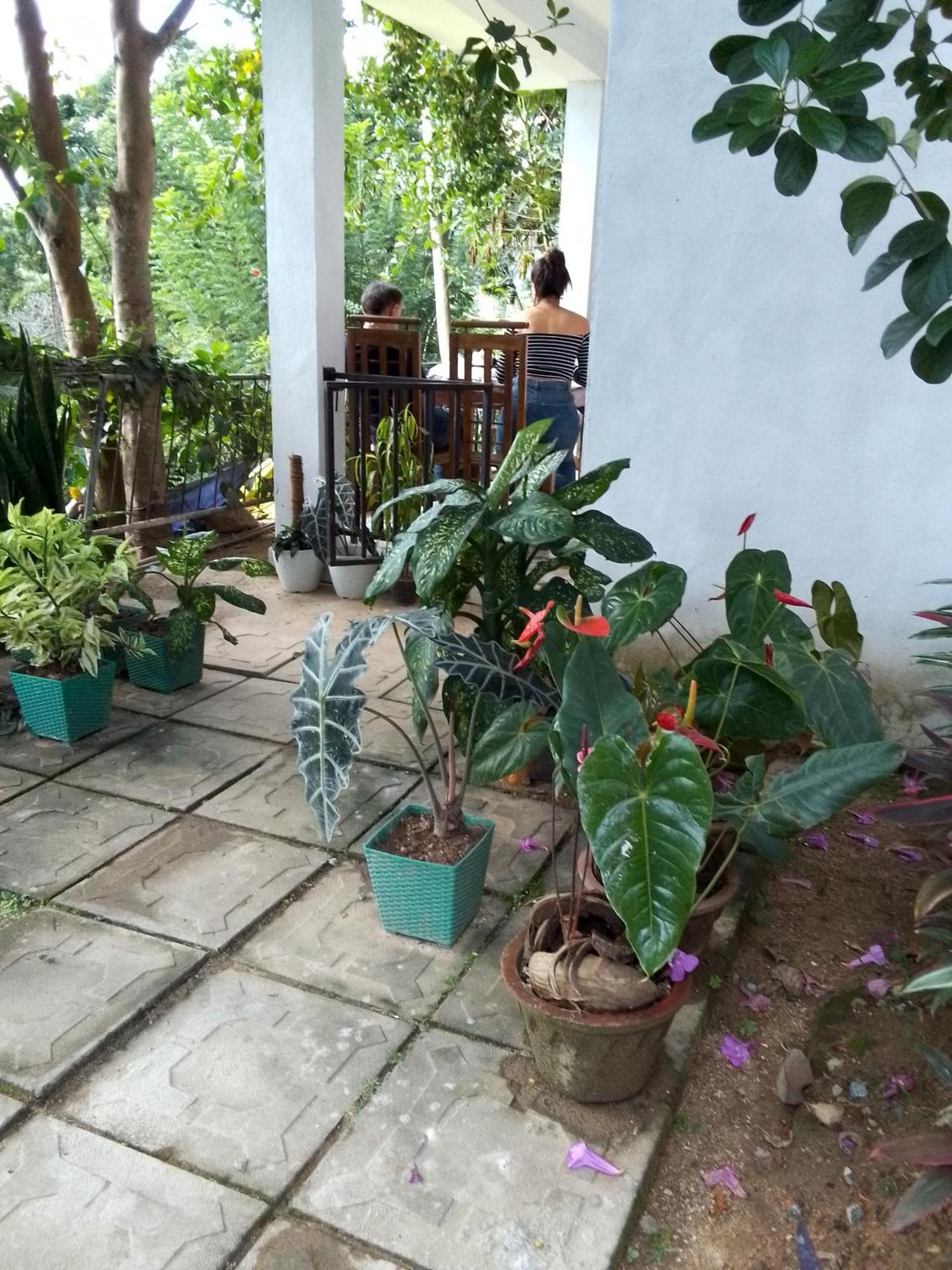 Charming View Homestay Ella Chambre photo