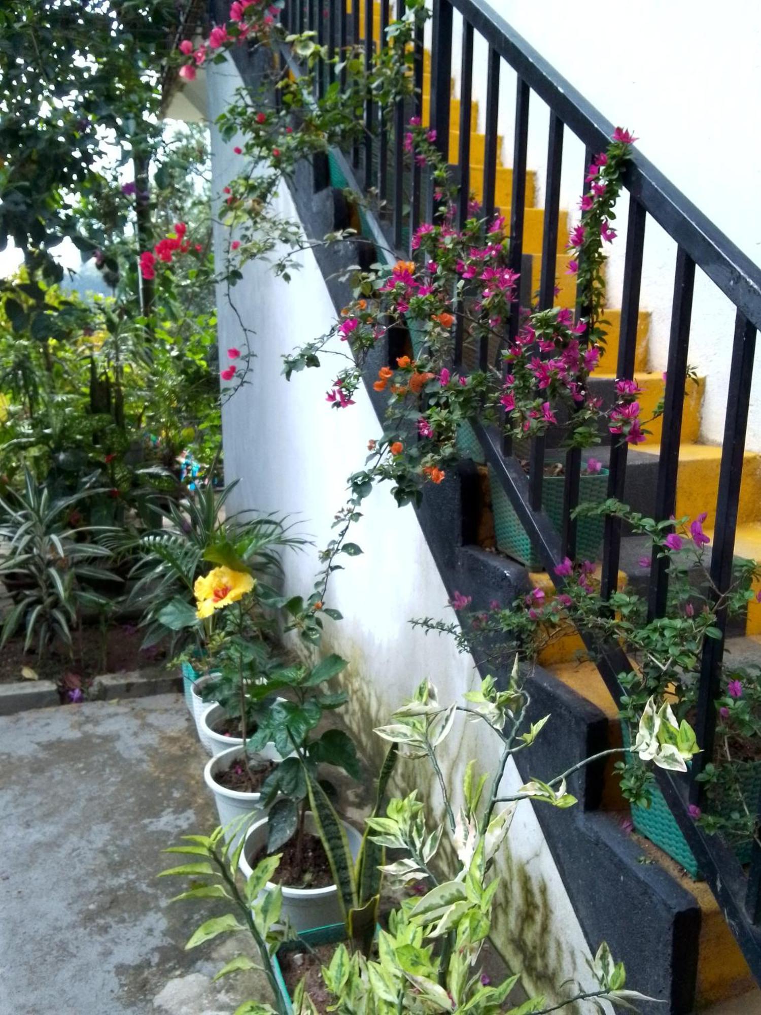 Charming View Homestay Ella Extérieur photo